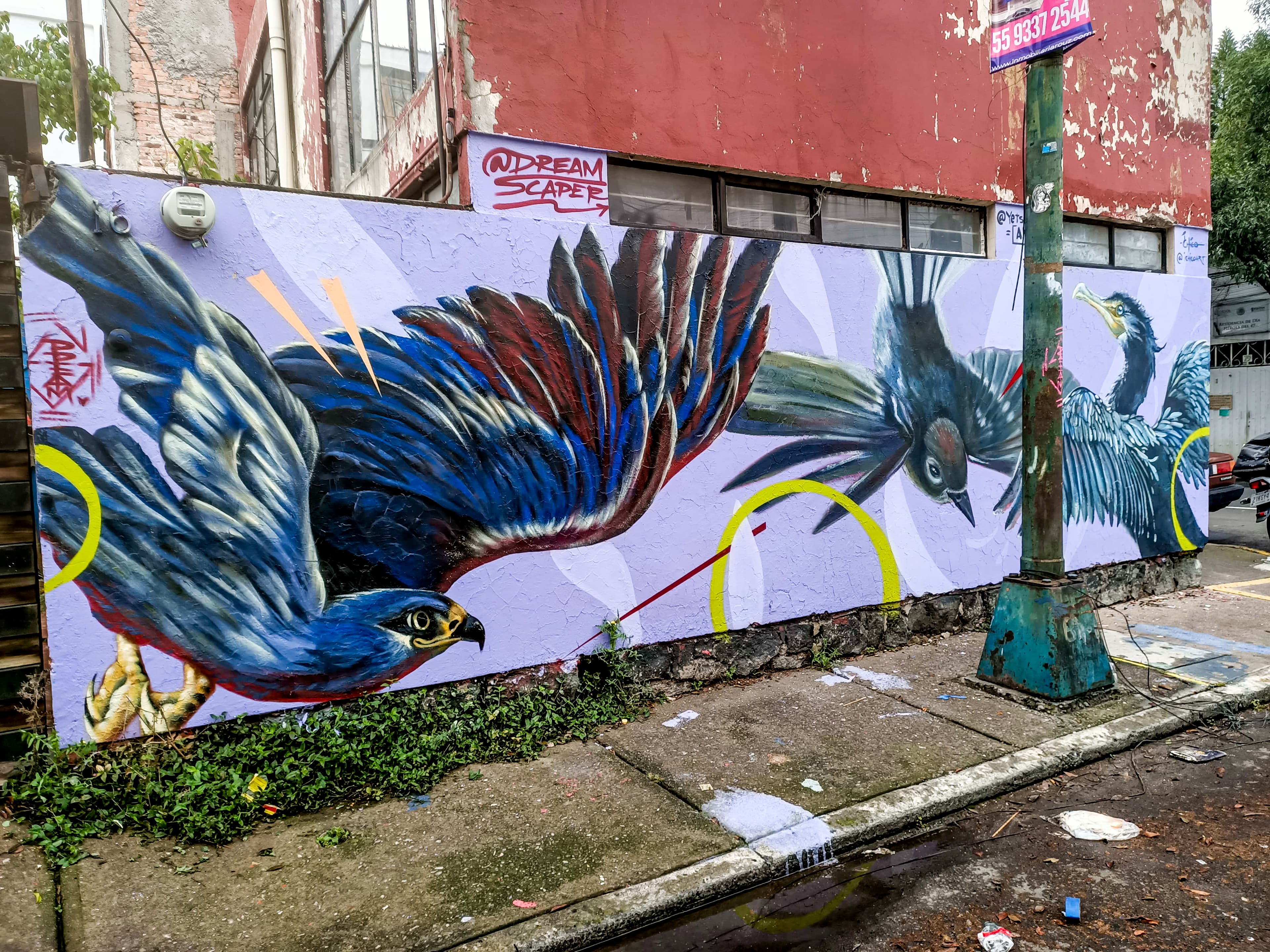 Flight — gallery image 1