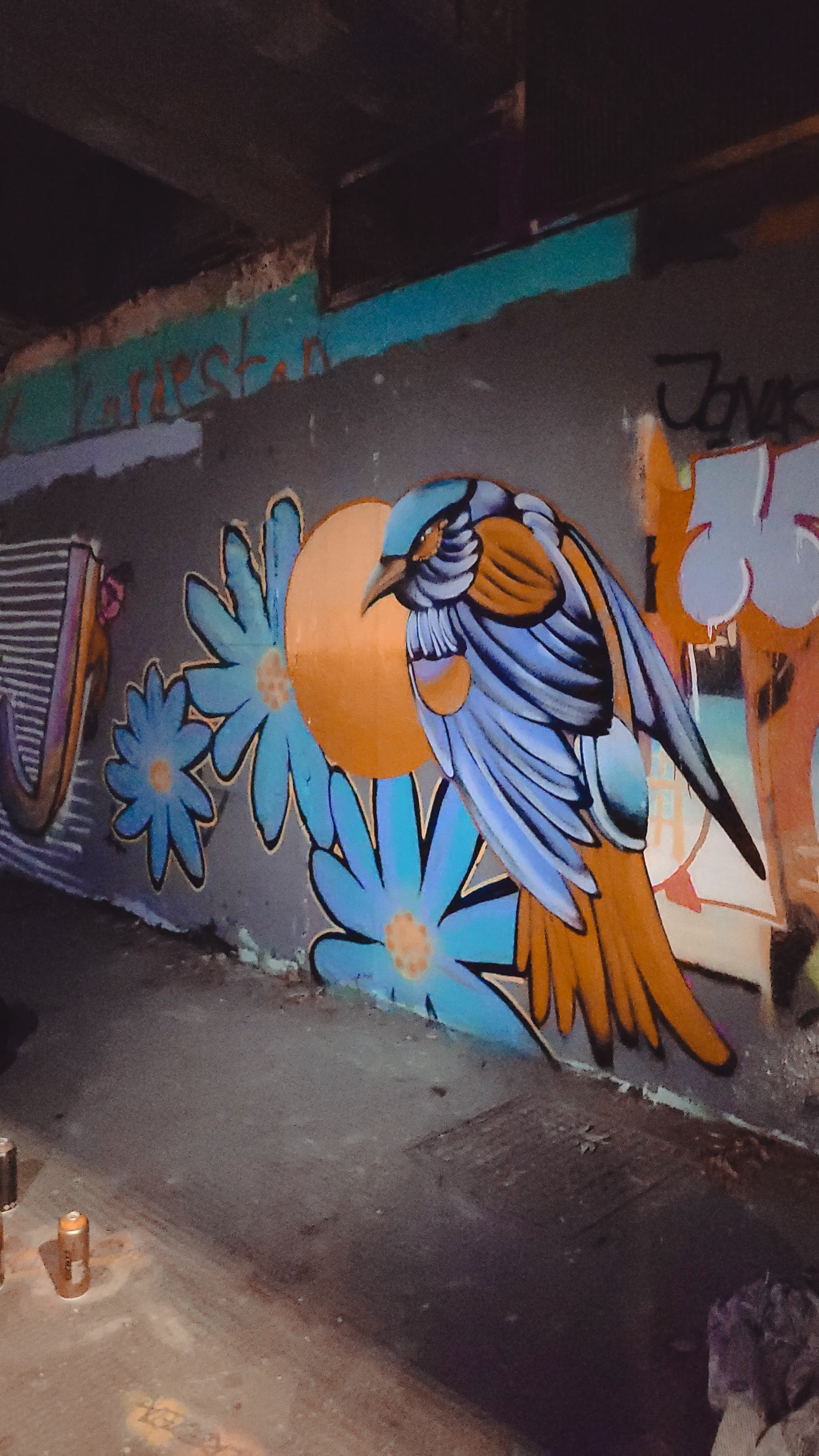 Blue Bird Days — gallery image 1